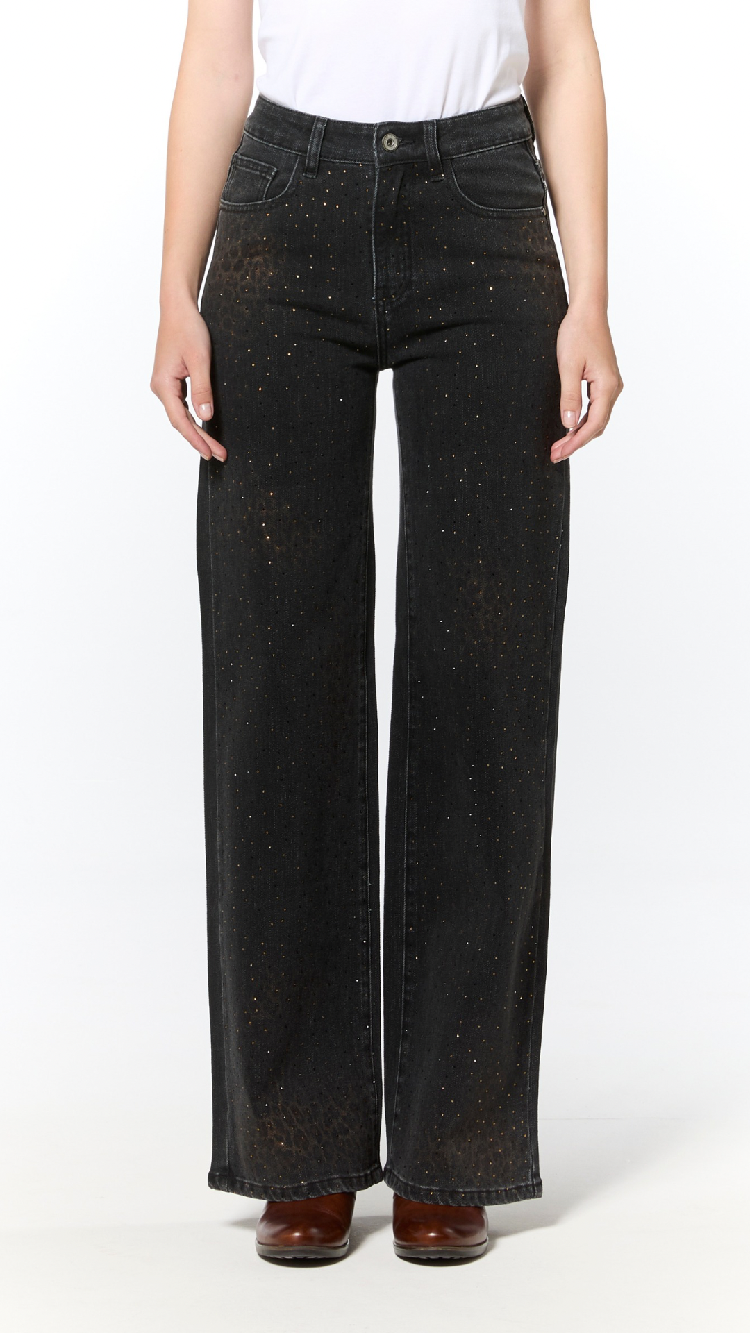 Senza titolo 24gen_13:27 Vanchi